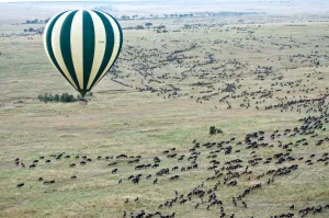 Read more about the article 10 Tips on How to Plan the Perfect Kenya Safari