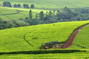 Read more about the article 11 Hidden Places to Visit in Kenya